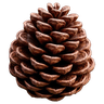 PineSmell - Kitap Kulübü